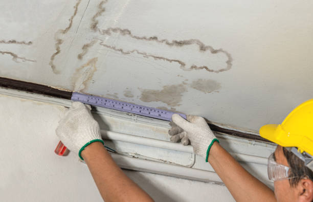 Reliable Water Damage contractor in Britton, MI by Water Damage Irwin